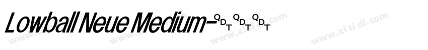 Lowball Neue Medium字体转换